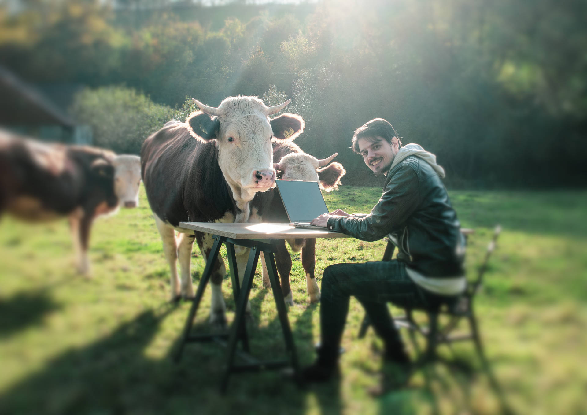 Eine Gruppe Flamingos welche in einem weitläufigem See stehen. Im Hintergrund sieht man die Sonne untergehen.